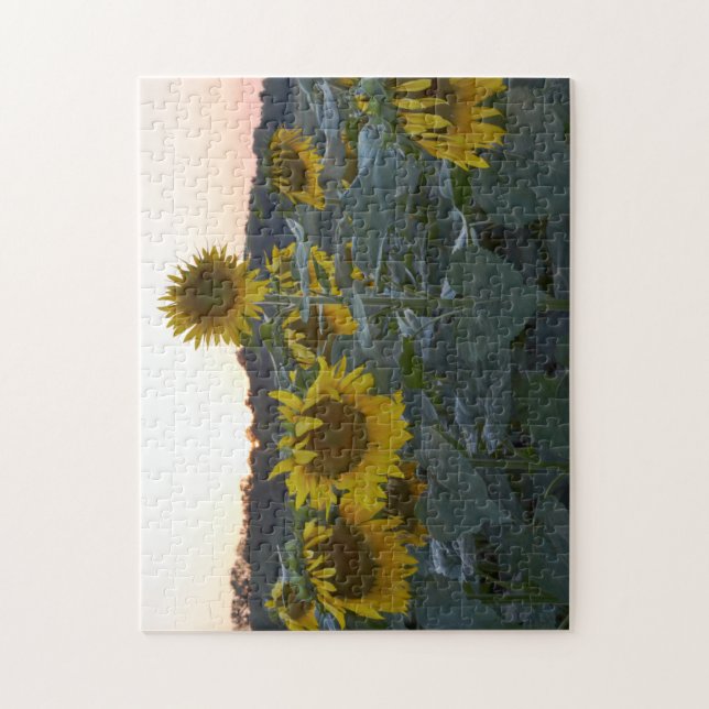 SLEEPY SUNFLOWERS PUZZLE (Vertical)