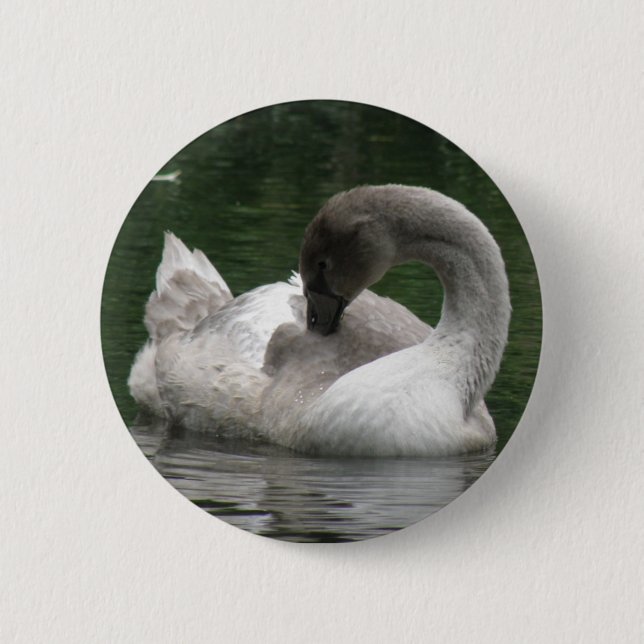 Sleepy Swan Button (Front)