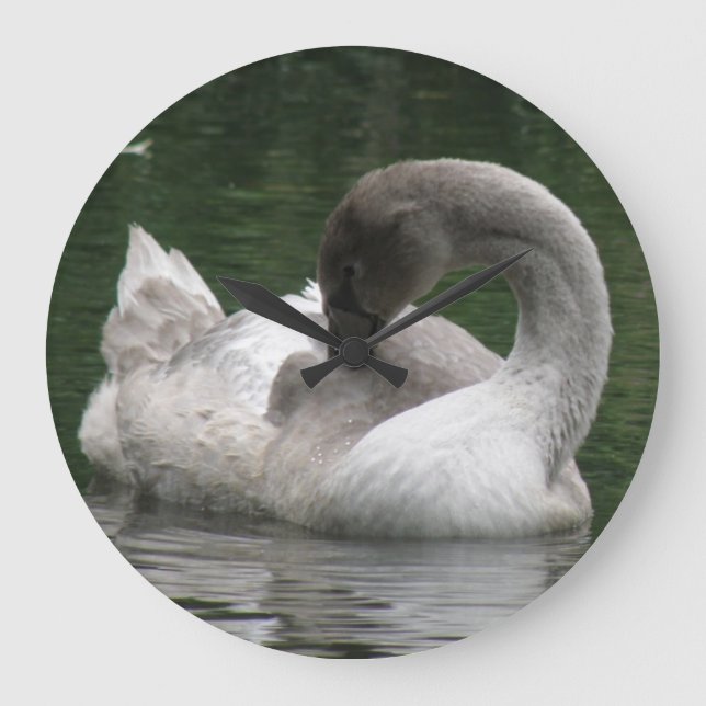 Sleepy Swan Clock (Front)