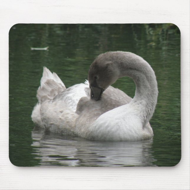 Sleepy Swan Mousepad (Front)