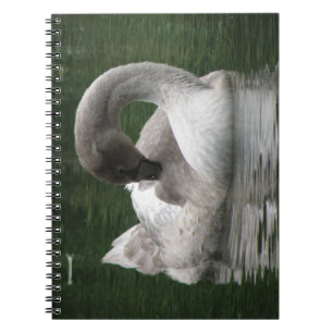 Sleepy Swan Notebook