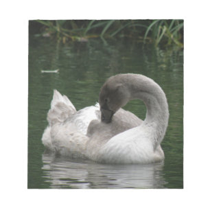 Sleepy Swan Notepad