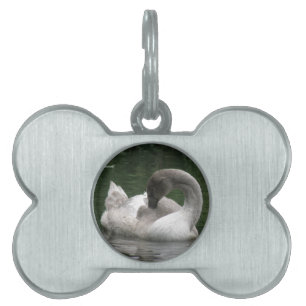 Sleepy Swan Pet Tag