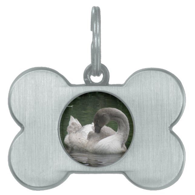 Sleepy Swan Pet Tag (Front)
