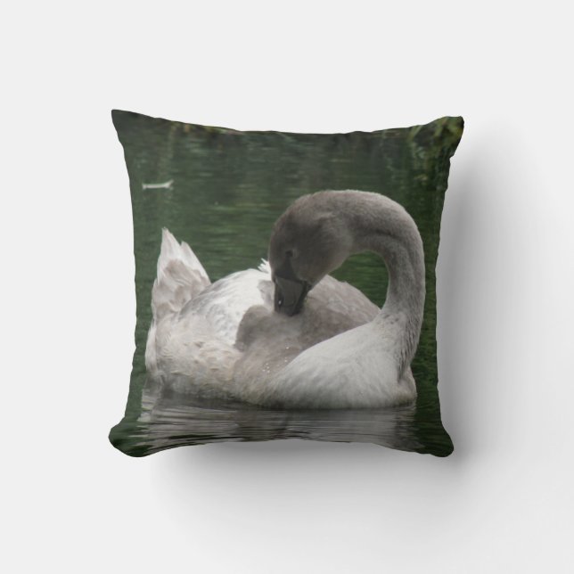 Sleepy Swan Pillow (Front)