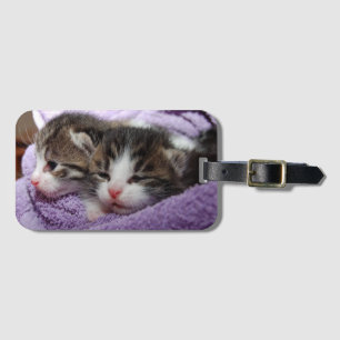 Sleepy sweet kittens luggage tag