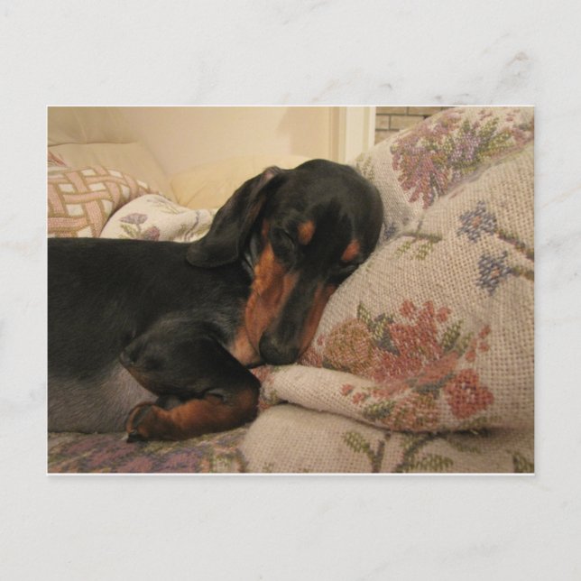 Sleepy Time Postcard (Front)