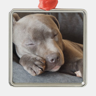 Sleepy time with cute staffy puppy metal tree decoration