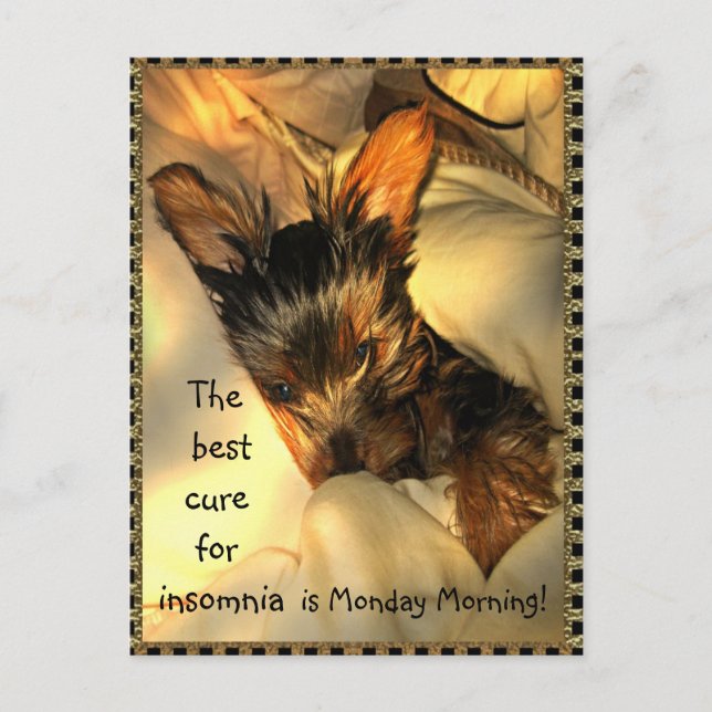 Sleepy Yorkie  Customisable Postcard (Front)