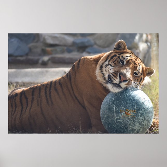 Sleepy Zachariah Poster (Front)