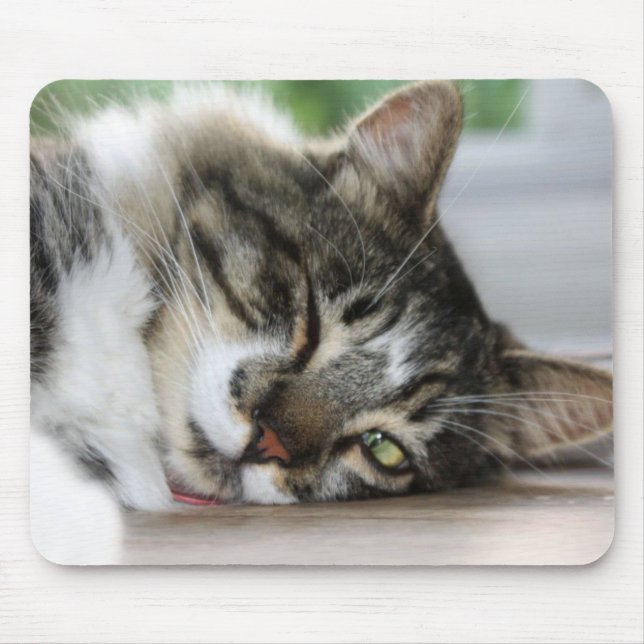 Sleepy Zorro Kitty Mouse Pad (Front)
