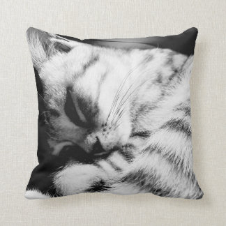 SleepyCat cushions gray melts