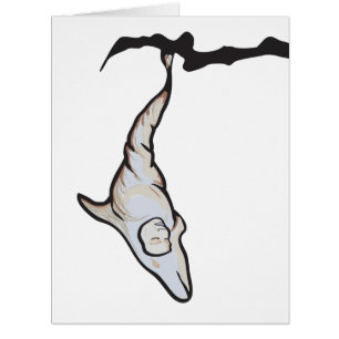 sleepyhead dolphin cocoon