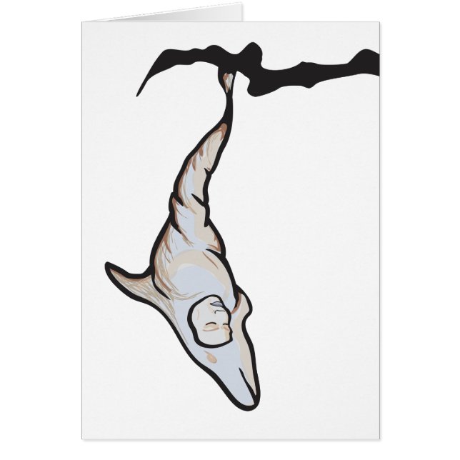 sleepyhead dolphin cocoon (Front)