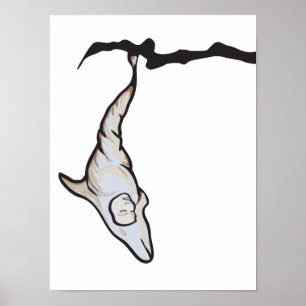 sleepyhead dolphin cocoon poster