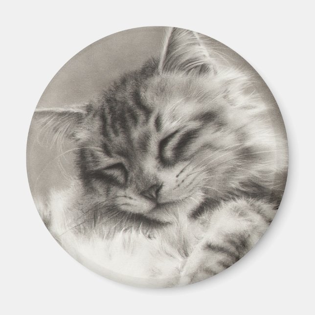 Sleepyhead Maine Coon Magnet (Front)