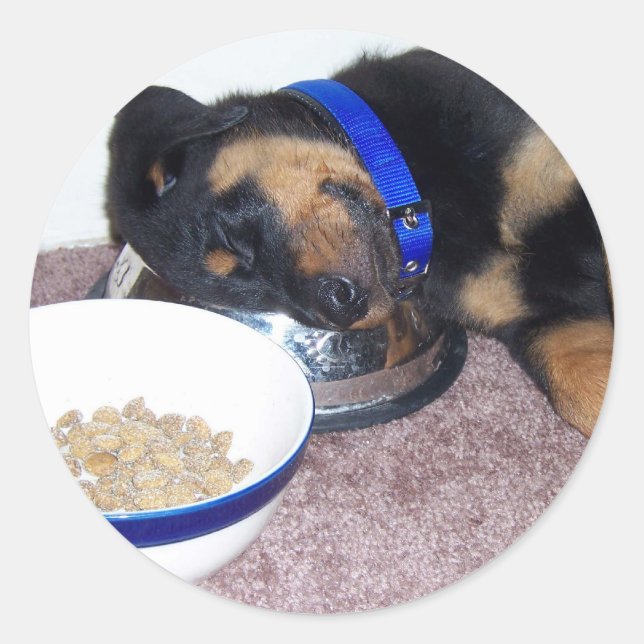 sleepyhead rottweiler classic round sticker (Front)