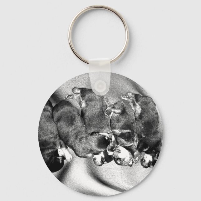 sleepyhead rottweiler puppies key ring (Front)
