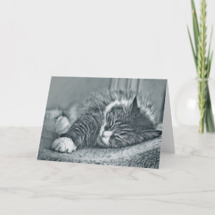 Sleepytime Siberian Blank Note Card