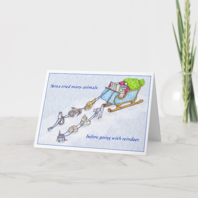 Sleigh Cats Holiday Card (Front)