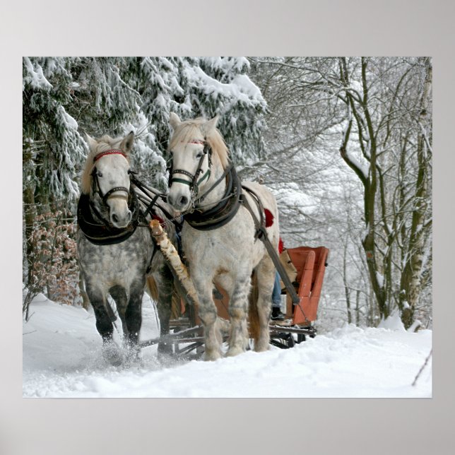 Sleigh Ride in Winter Wonderland Poster (Front)