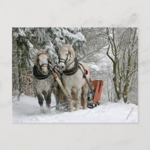 sleigh ride postcard