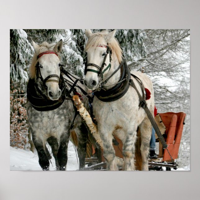 Sleigh Ride Poster (Front)