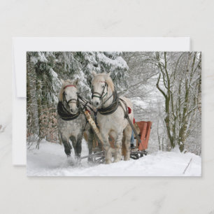 sleigh+ride,snow,forest,horse,winter,white,gallop,
