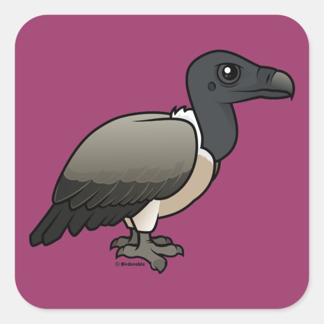 Slender-billed Vulture Square Sticker (Front)