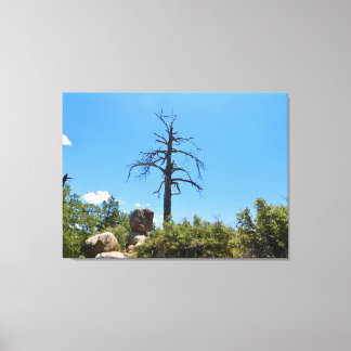 Slice of Heaven Canvas Print
