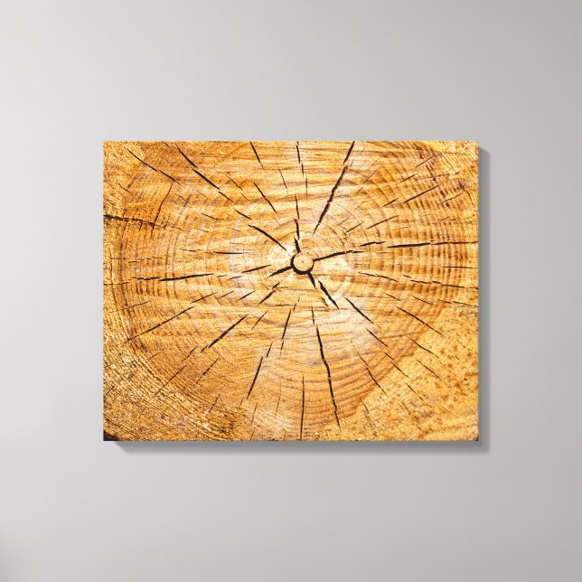 Slice of Life Canvas Print (Front)