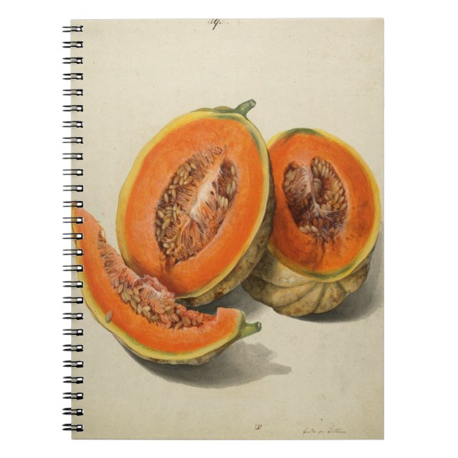 Sliced cantaloupe melon illustration book (Front)