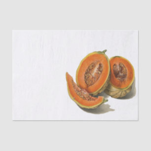 Sliced cantaloupe melon illustration tissue paper