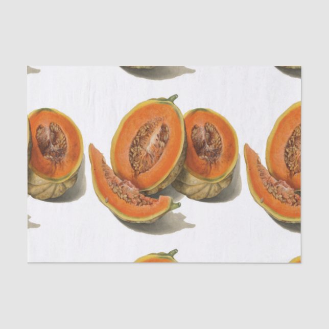 Sliced cantaloupe melon illustration tissue paper (Front)