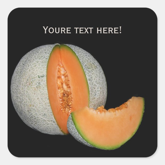 Sliced Cantaloupe Melon Square Sticker (Front)