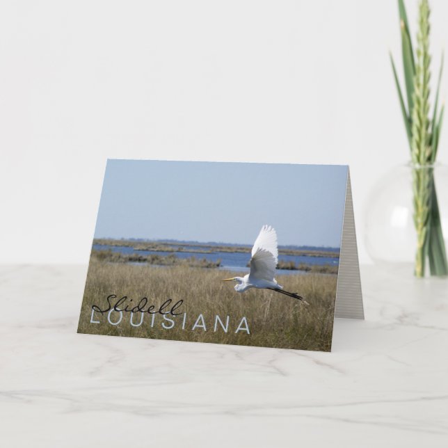 "Slidell, Louisiana" egret greeting card (Front)