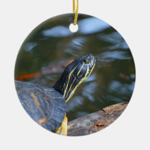 slider water turtle head out of shell ceramic tree decoration