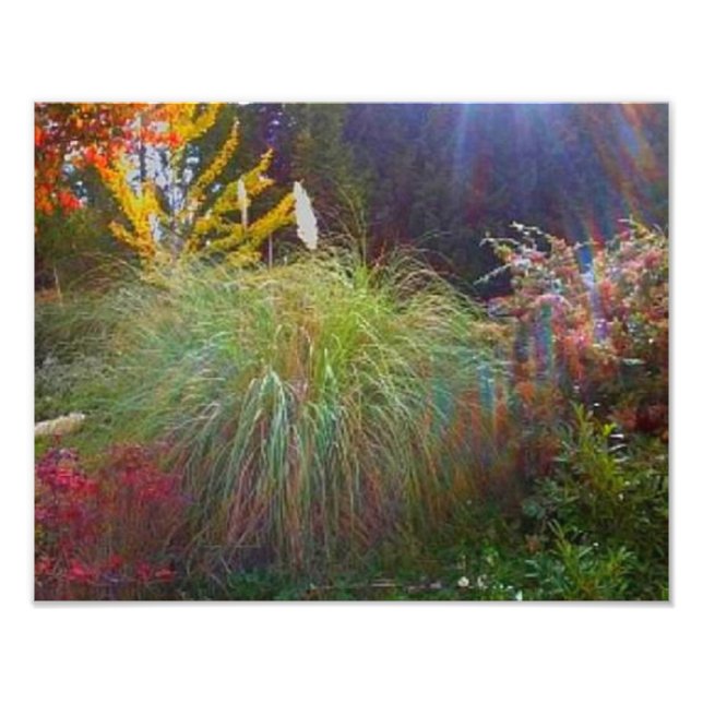 Slight Sun Rays Photo Print (Front)