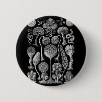 Slime Molds in Black and White