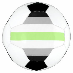 SlipperyJoe's Agender Pride Flag gay gifts LGBTQIA Soccer Ball