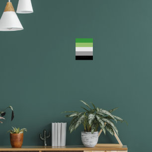 SlipperyJoe's Aromantic Pride Flag gay gifts LGBTQ Poster