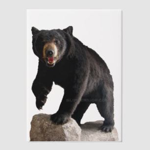 SlipperyJoe's black bear thick dark fur majestic r Vellum Invitations