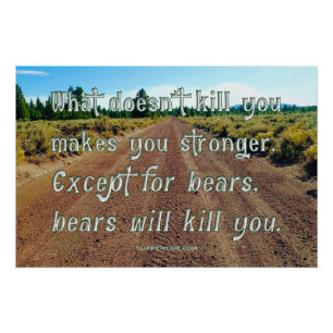 SlipperyJoe's funny saying dirt road gravel forest Poster