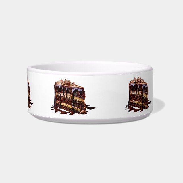 SlipperyJoe's indulgent multi-layer chocolate cake Bowl (Front)