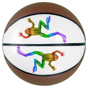 SlipperyJoe's rainbow coloured frog rendered sculp Basketball