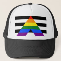 SlipperyJoe's Straight Ally Flag gay gifts LGBTQIA