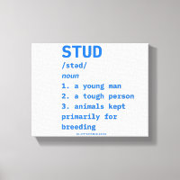 SlipperyJoe's stud definition animals dictionary b