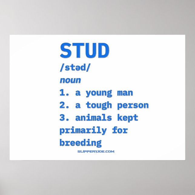 SlipperyJoe's stud definition animals dictionary b Poster (Front)