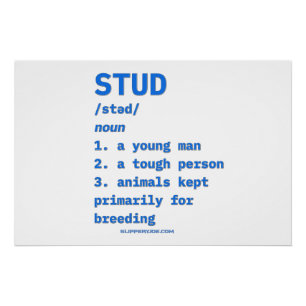 SlipperyJoe's stud definition animals dictionary b Poster