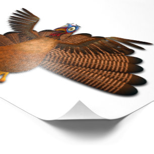 SlipperyJoe's Thanksgiving turkey wings colourful  Photo Print